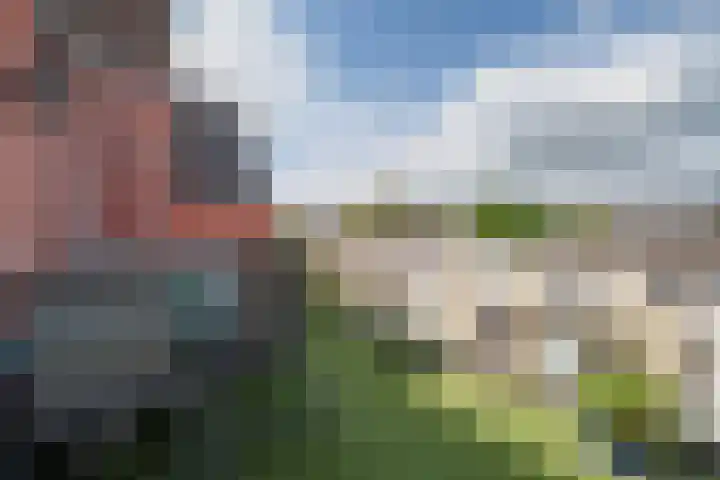 Beukelsweg 27 A Rotterdam thumbnail 14