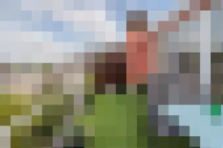 Beukelsweg 27 A Rotterdam thumbnail 15