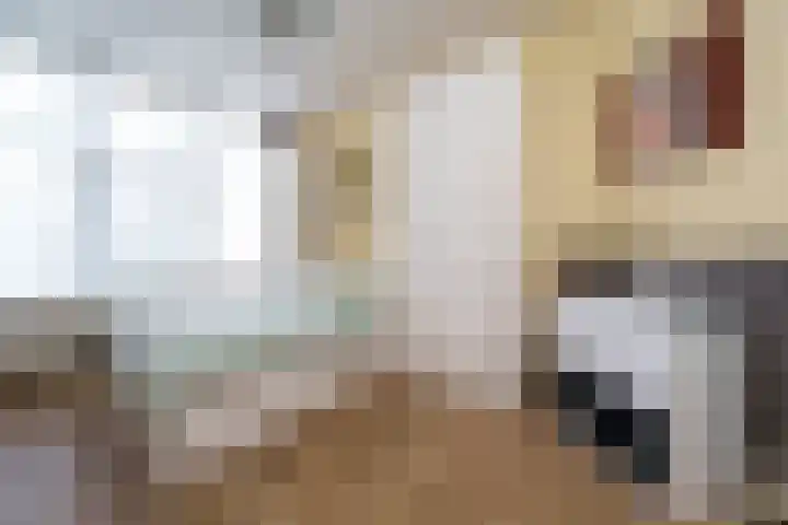 Beukelsweg 27 A Rotterdam thumbnail 16