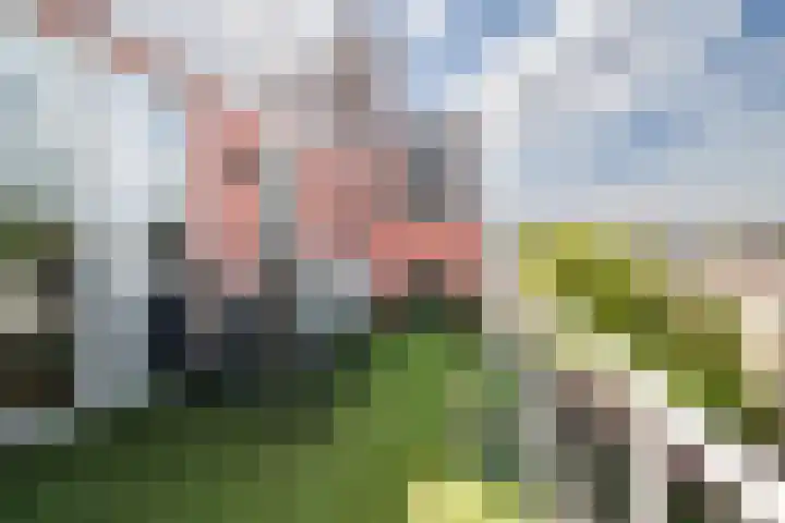 Beukelsweg 27 A Rotterdam thumbnail 5