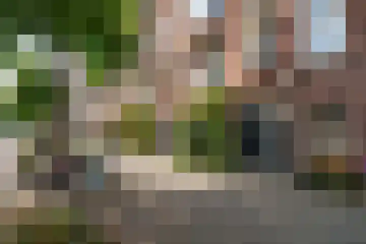 Beukelsweg 27 A Rotterdam thumbnail 6
