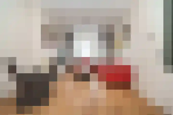 Beukelsweg 27 A Rotterdam thumbnail 7