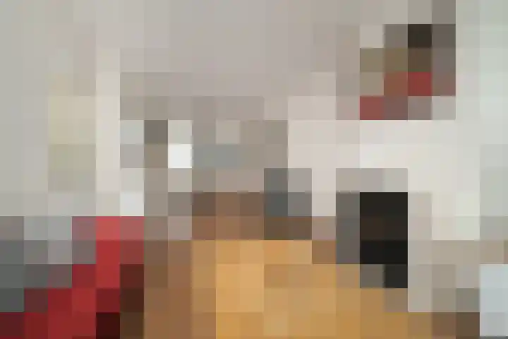 Beukelsweg 27 A Rotterdam thumbnail 8