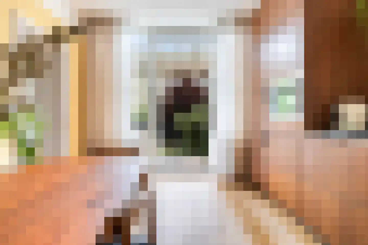 Beukelsweg 28 B Rotterdam thumbnail 13