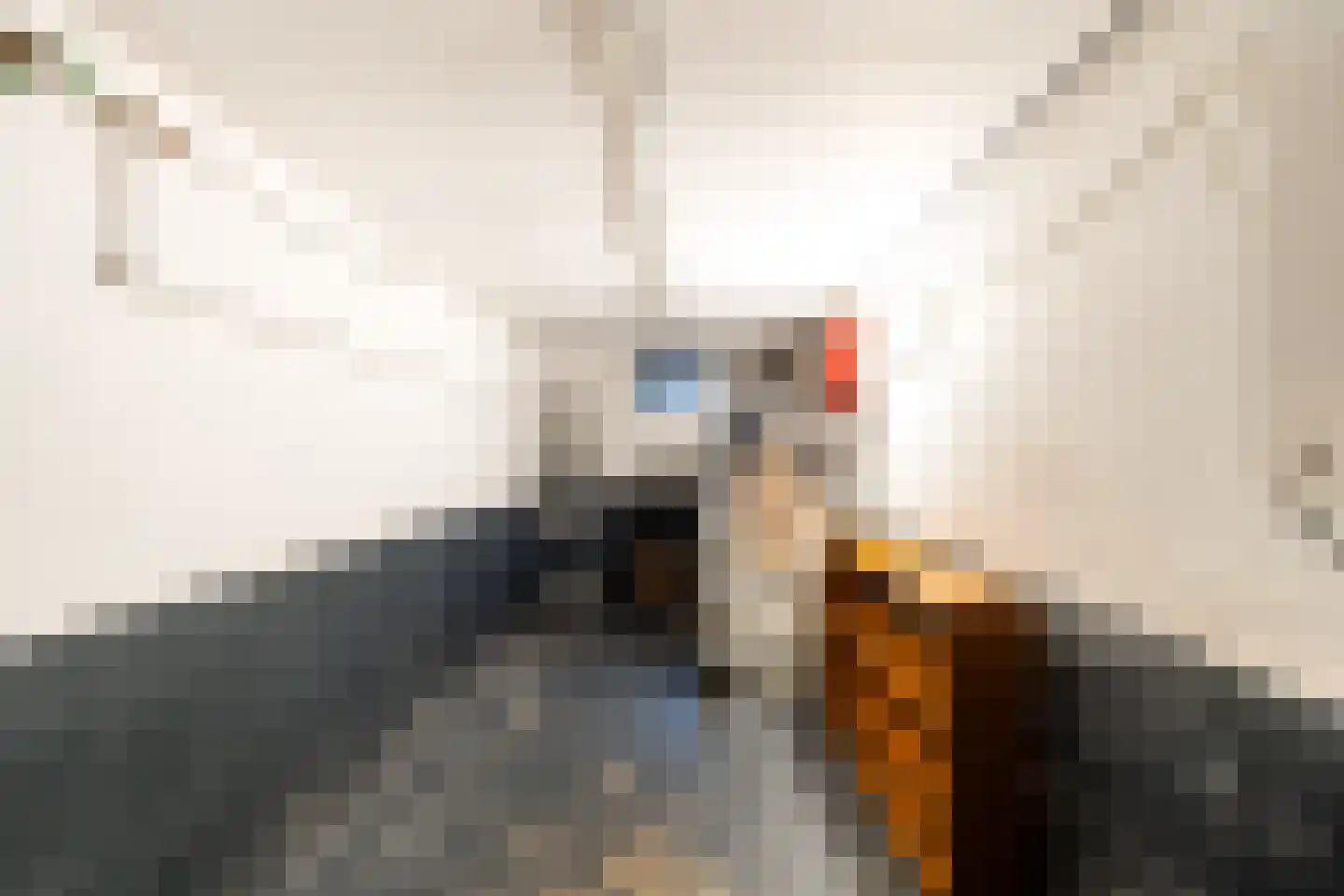 Beukelsweg 28 B Rotterdam thumbnail 30