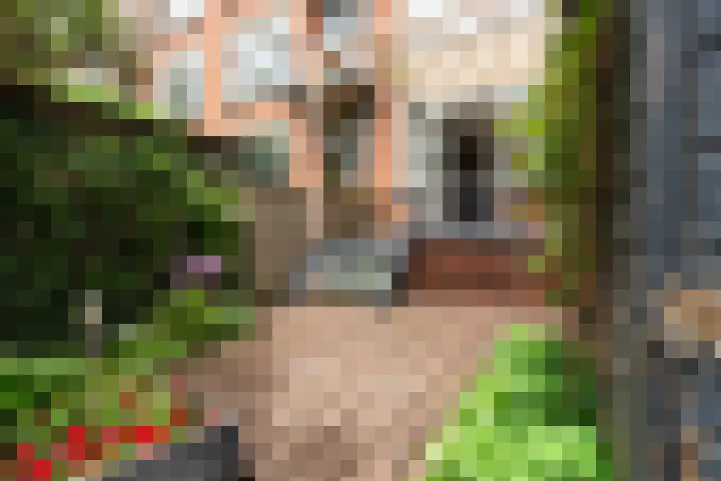 Beukelsweg 28 B Rotterdam thumbnail 31
