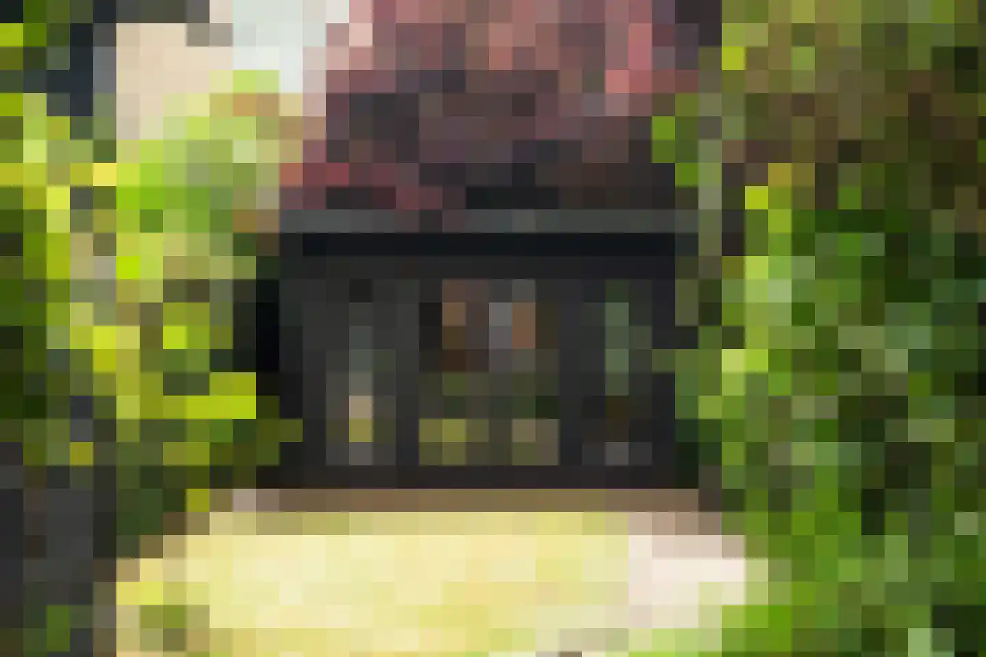 Beukelsweg 28 B Rotterdam thumbnail 32