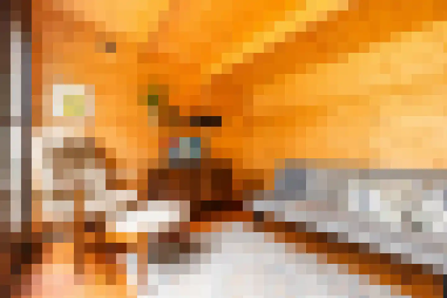 Beukelsweg 28 B Rotterdam thumbnail 33