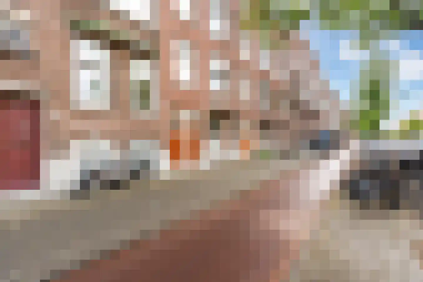 Beukelsweg 28 B Rotterdam thumbnail 41