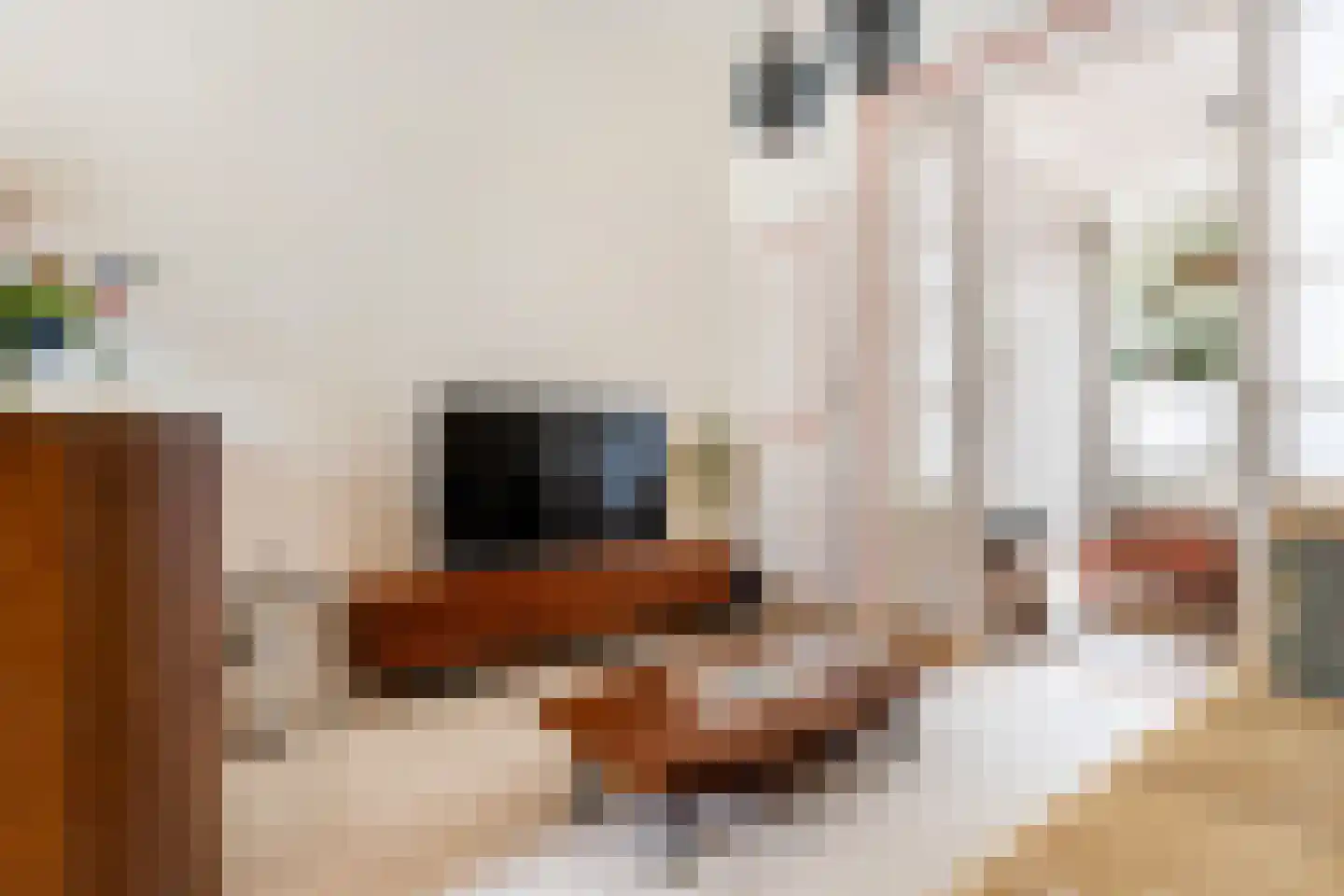 Beukelsweg 28 B Rotterdam thumbnail 6