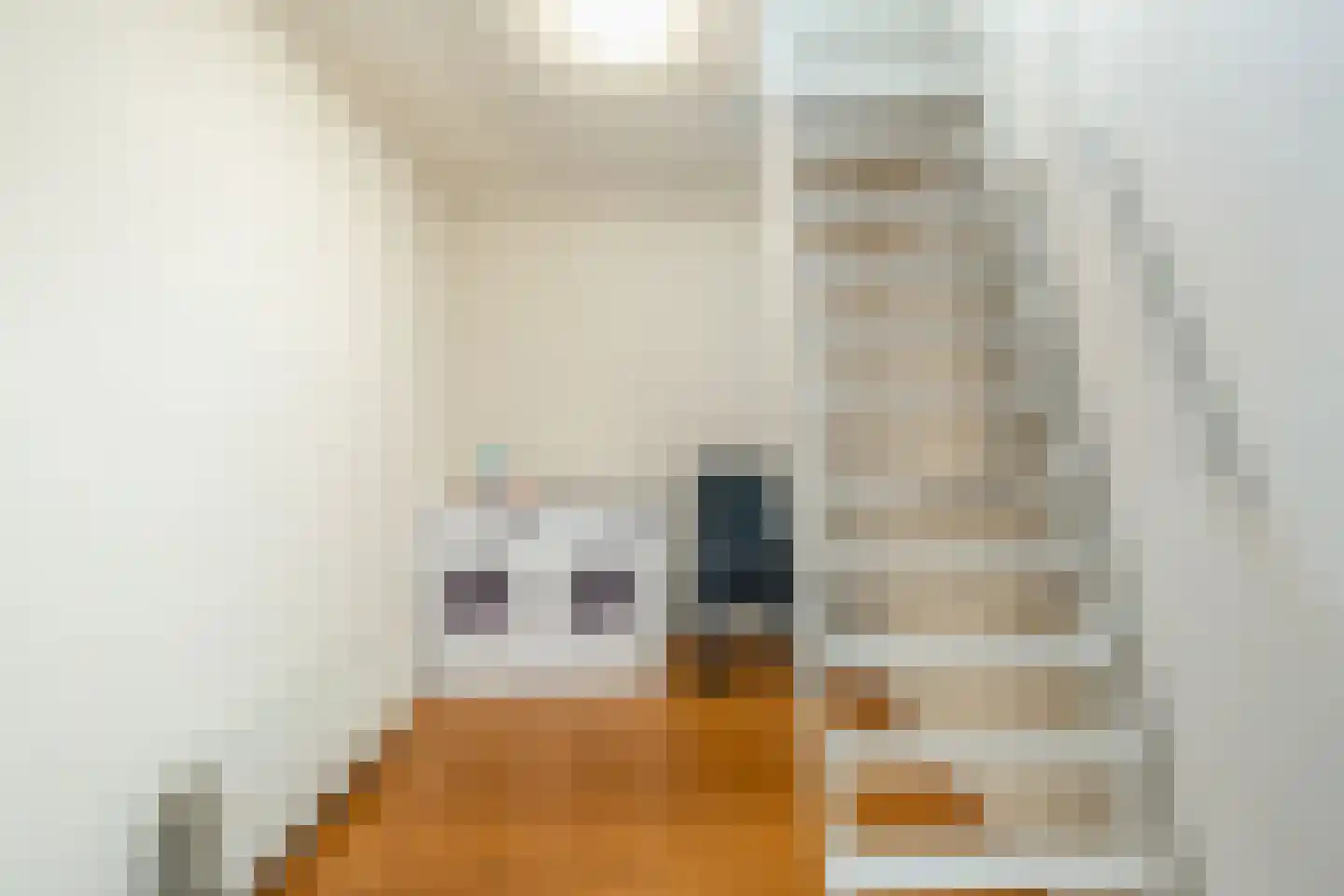 Beukelsweg 3 A Rotterdam thumbnail 31