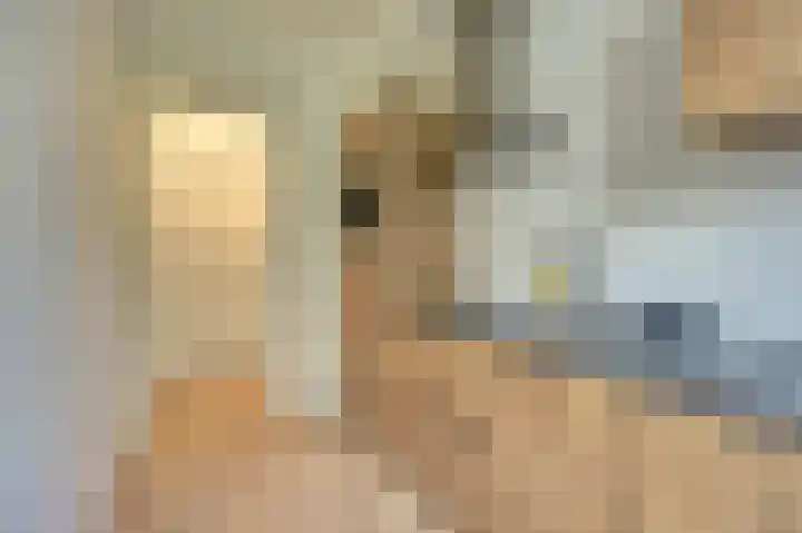 Beukelsweg 37 A 01 Rotterdam thumbnail 21