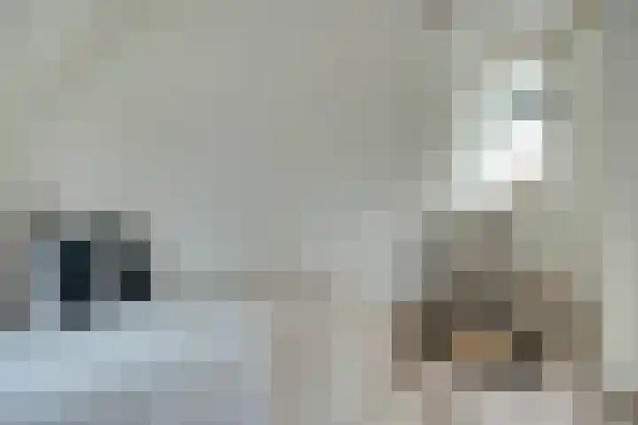 Beukelsweg 37 A 01 Rotterdam thumbnail 28