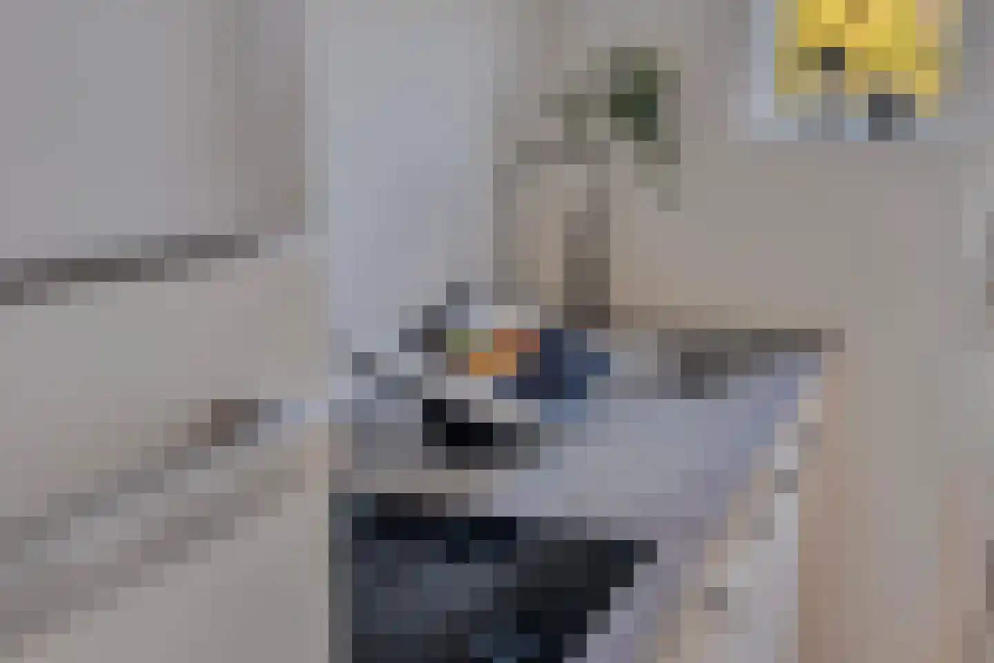 Beukelsweg 37 B 02 Rotterdam thumbnail 20
