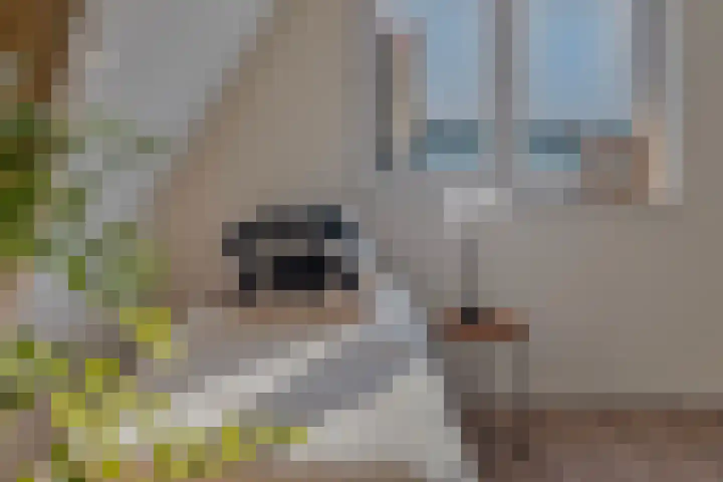 Beukelsweg 37 B 02 Rotterdam thumbnail 31