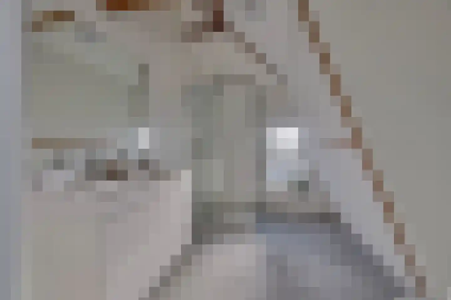 Beukelsweg 37 B 02 Rotterdam thumbnail 34