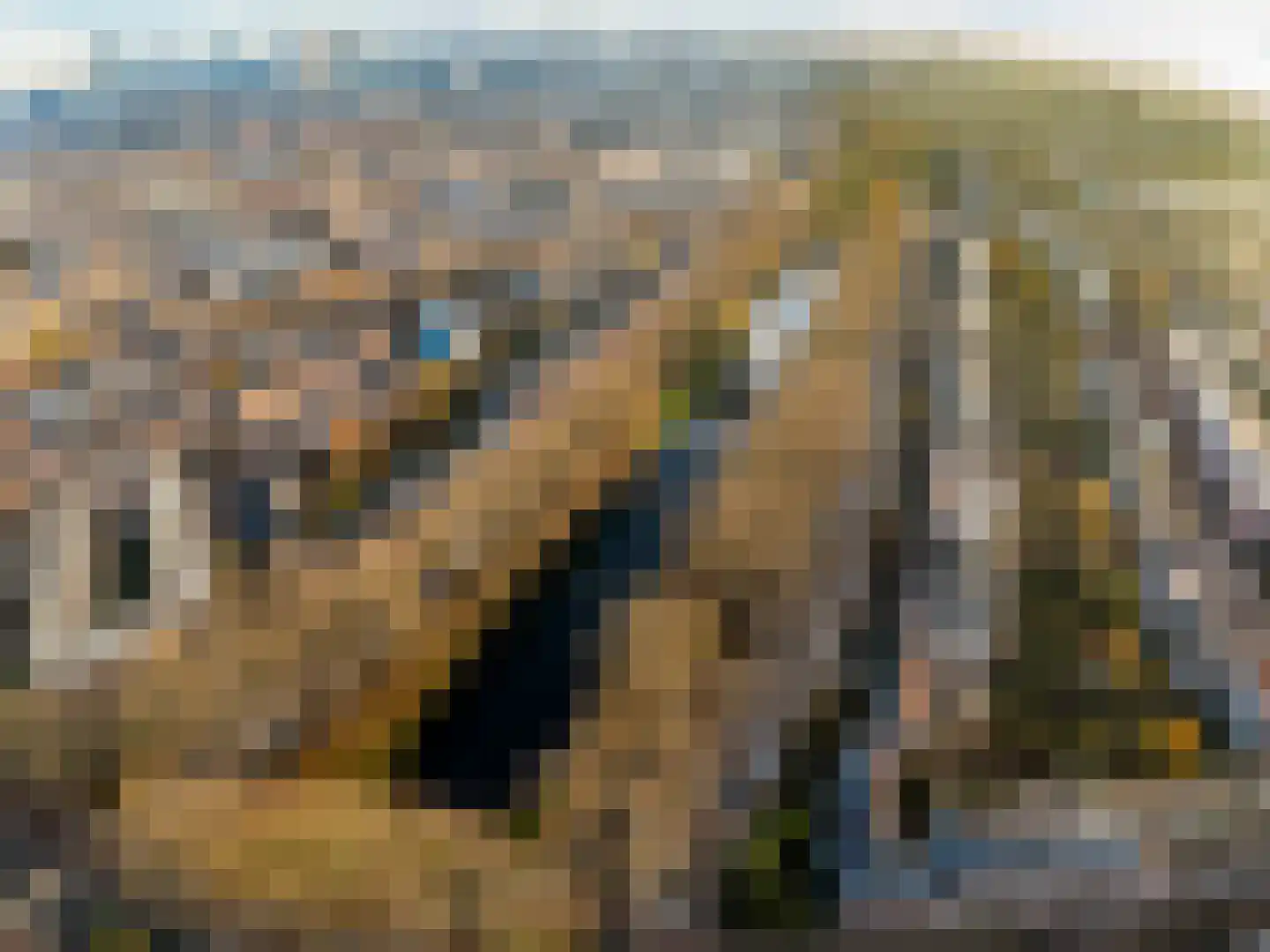 Beukelsweg 37 B 02 Rotterdam thumbnail 42