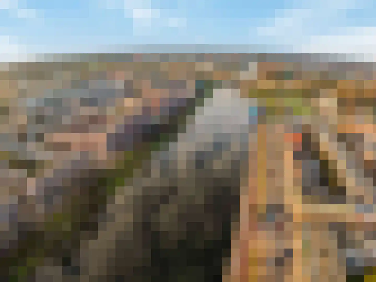 Beukelsweg 37 B 02 Rotterdam thumbnail 43