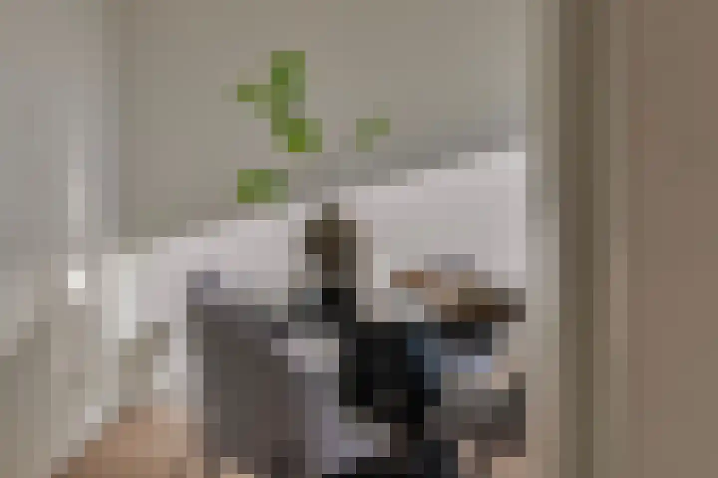 Beukelsweg 37 B 02 Rotterdam thumbnail 8