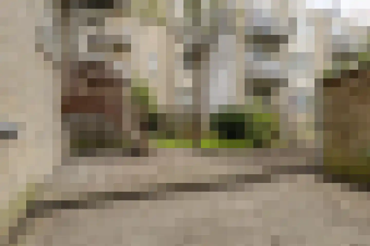 Beukelsweg 39 B Rotterdam thumbnail 21