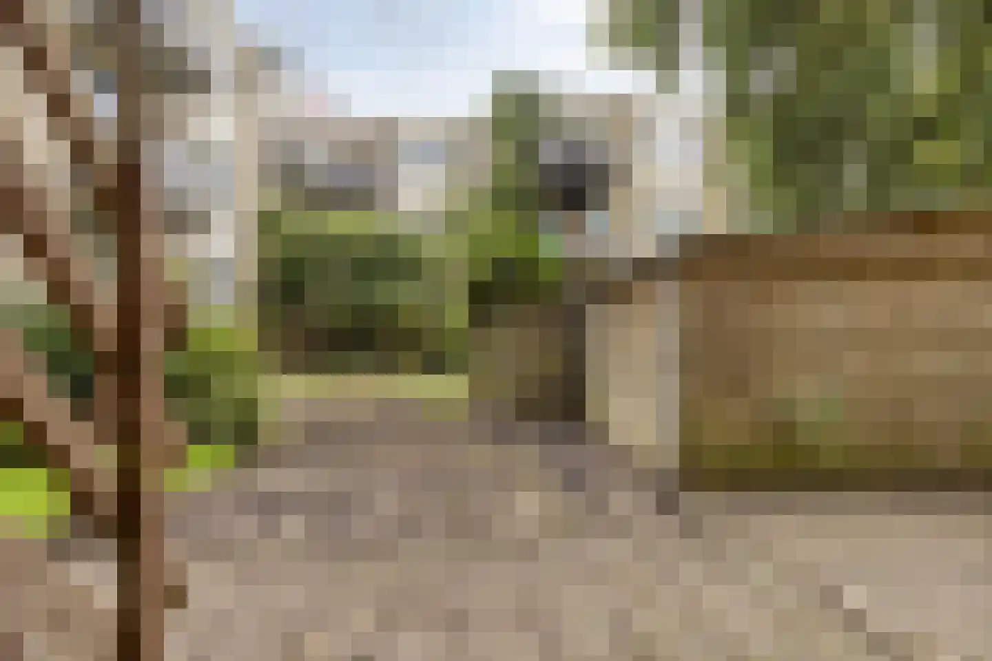 Beukelsweg 39 B Rotterdam thumbnail 22