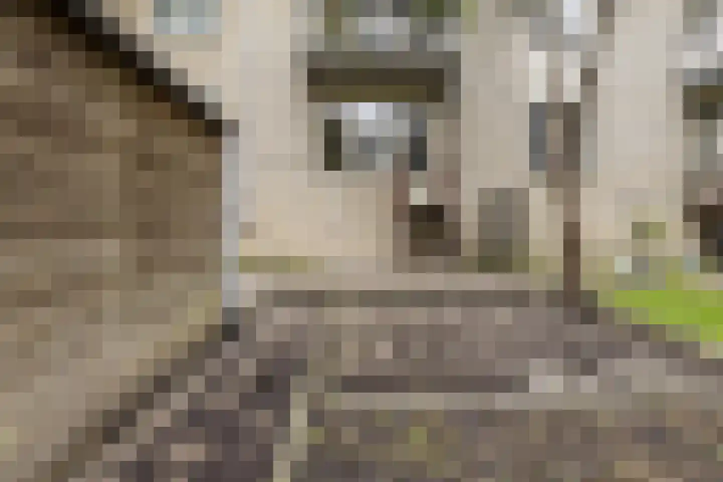 Beukelsweg 39 B Rotterdam thumbnail 24