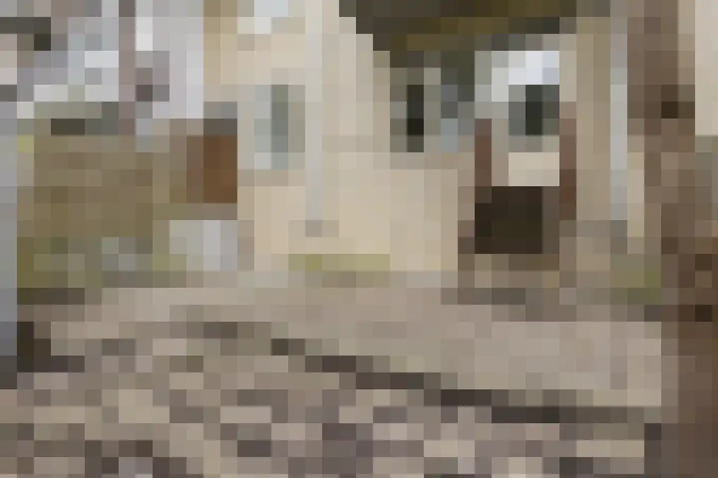 Beukelsweg 39 B Rotterdam thumbnail 25