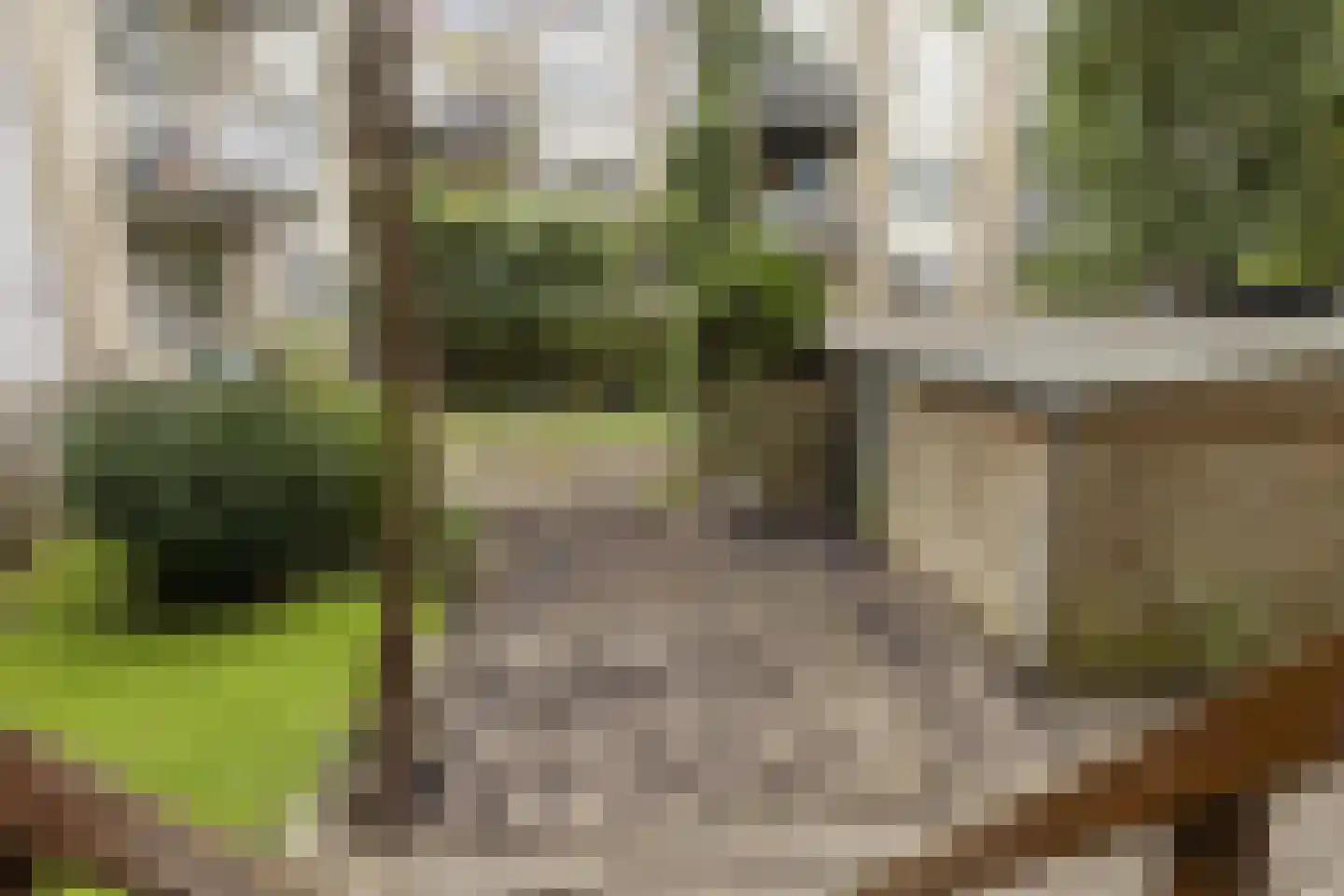 Beukelsweg 39 B Rotterdam thumbnail 26