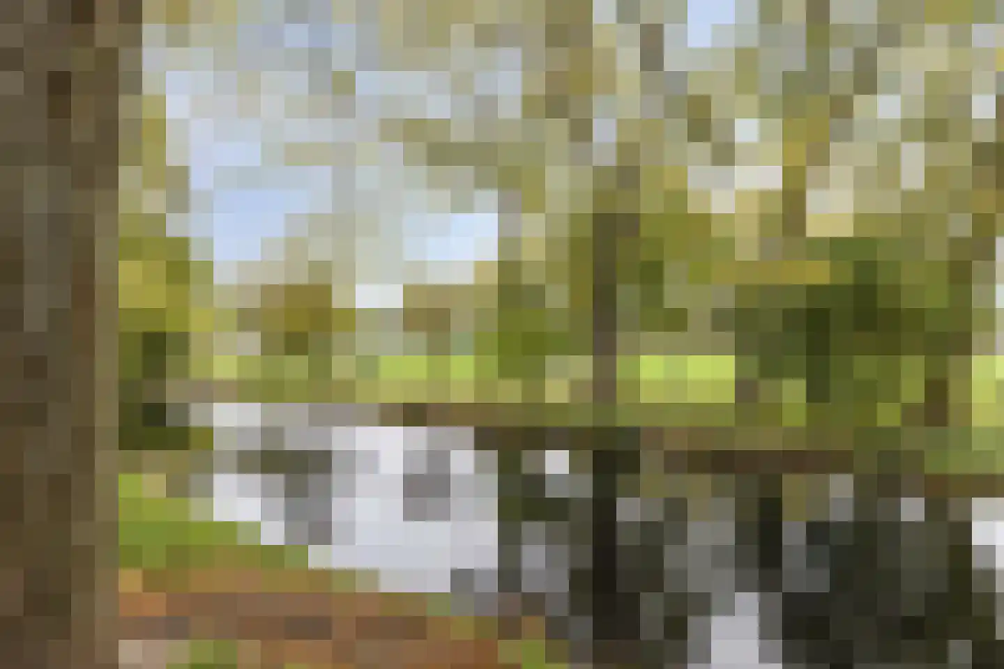 Beukelsweg 39 B Rotterdam thumbnail 30