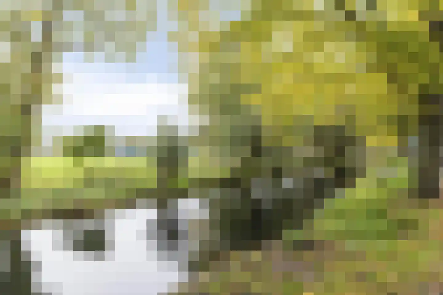 Beukelsweg 39 B Rotterdam thumbnail 31