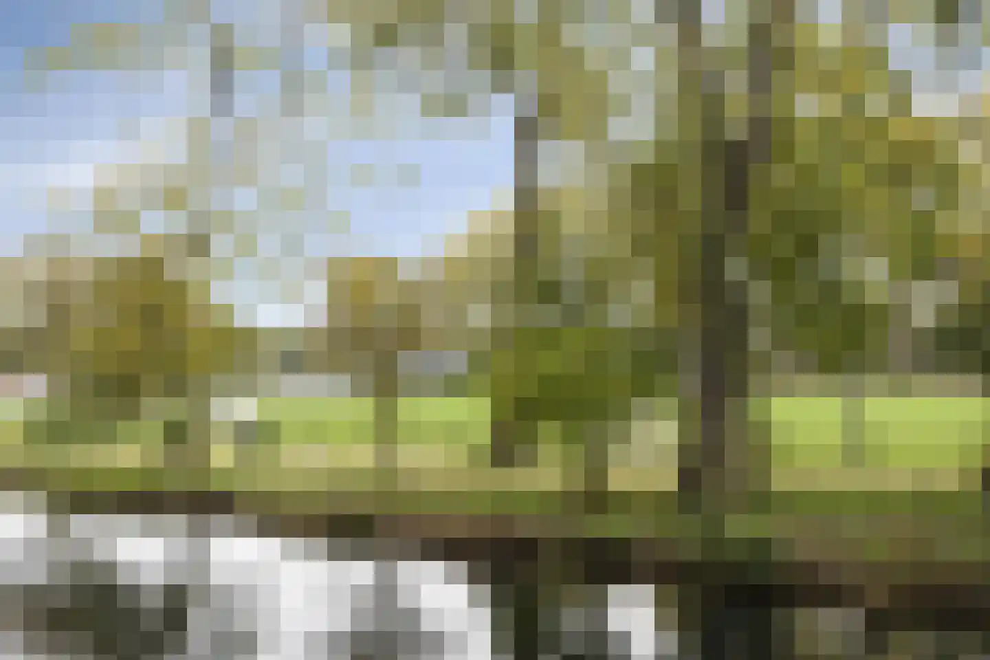 Beukelsweg 39 B Rotterdam thumbnail 32