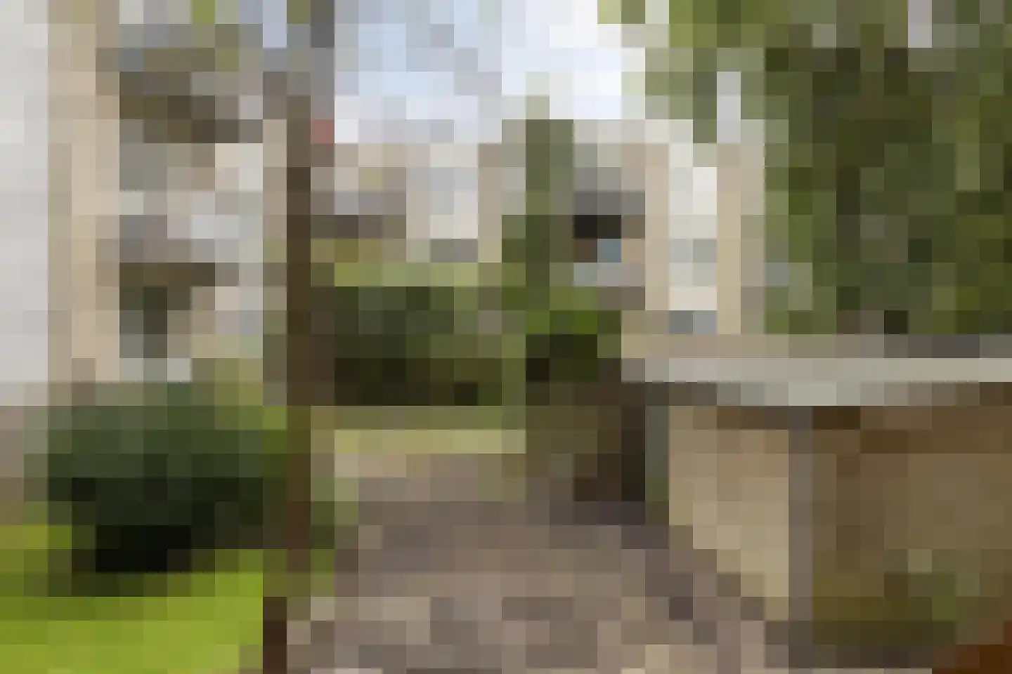 Beukelsweg 39 B Rotterdam thumbnail 5