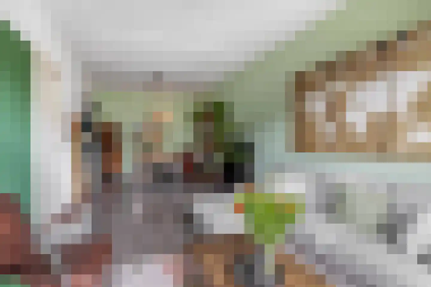 Beukelsweg 40 B Rotterdam thumbnail 10