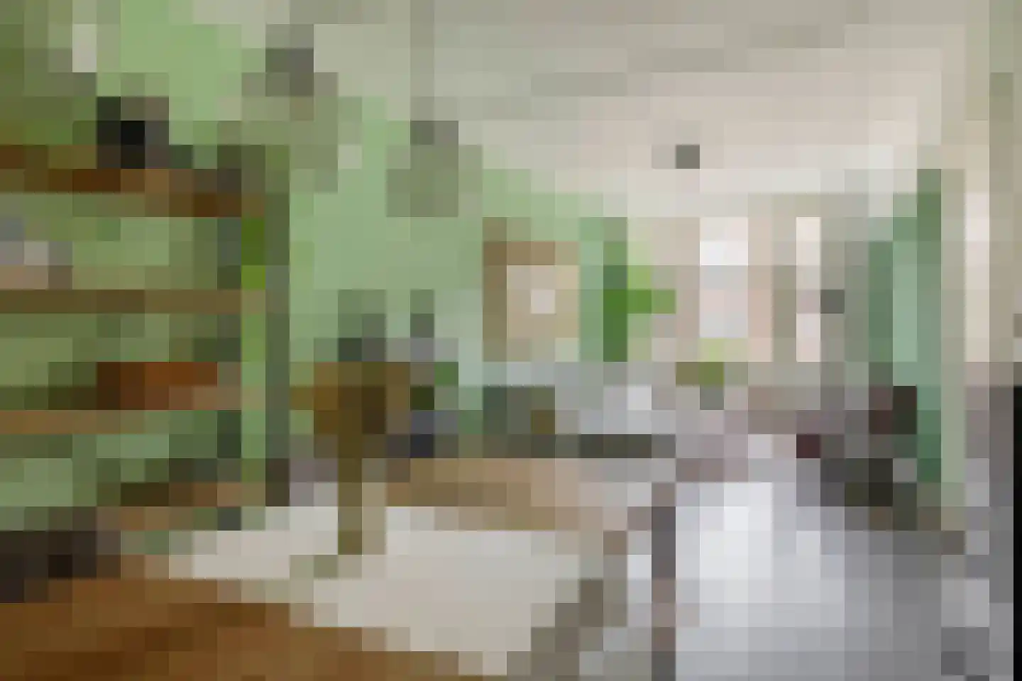 Beukelsweg 40 B Rotterdam thumbnail 11