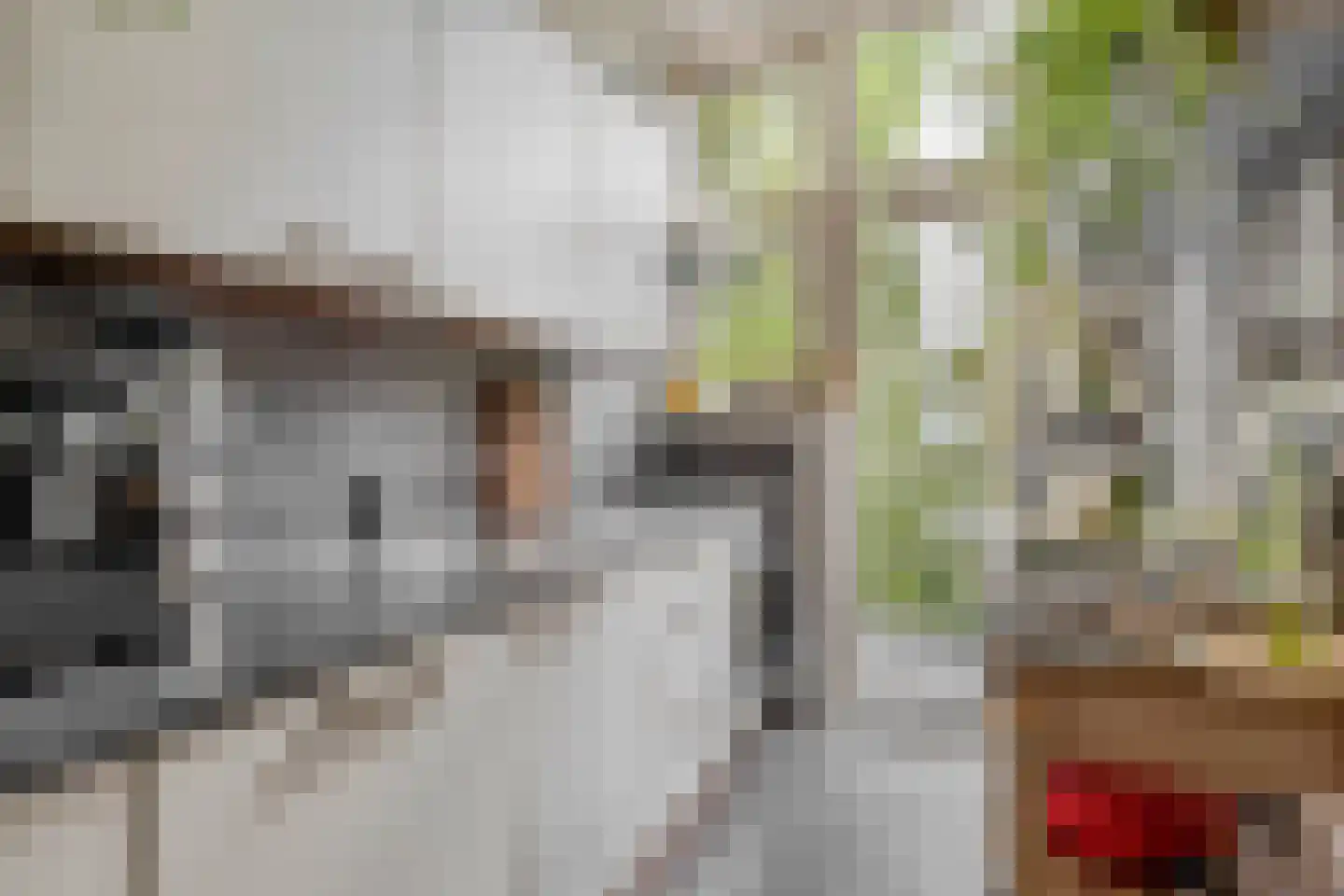 Beukelsweg 40 B Rotterdam thumbnail 12