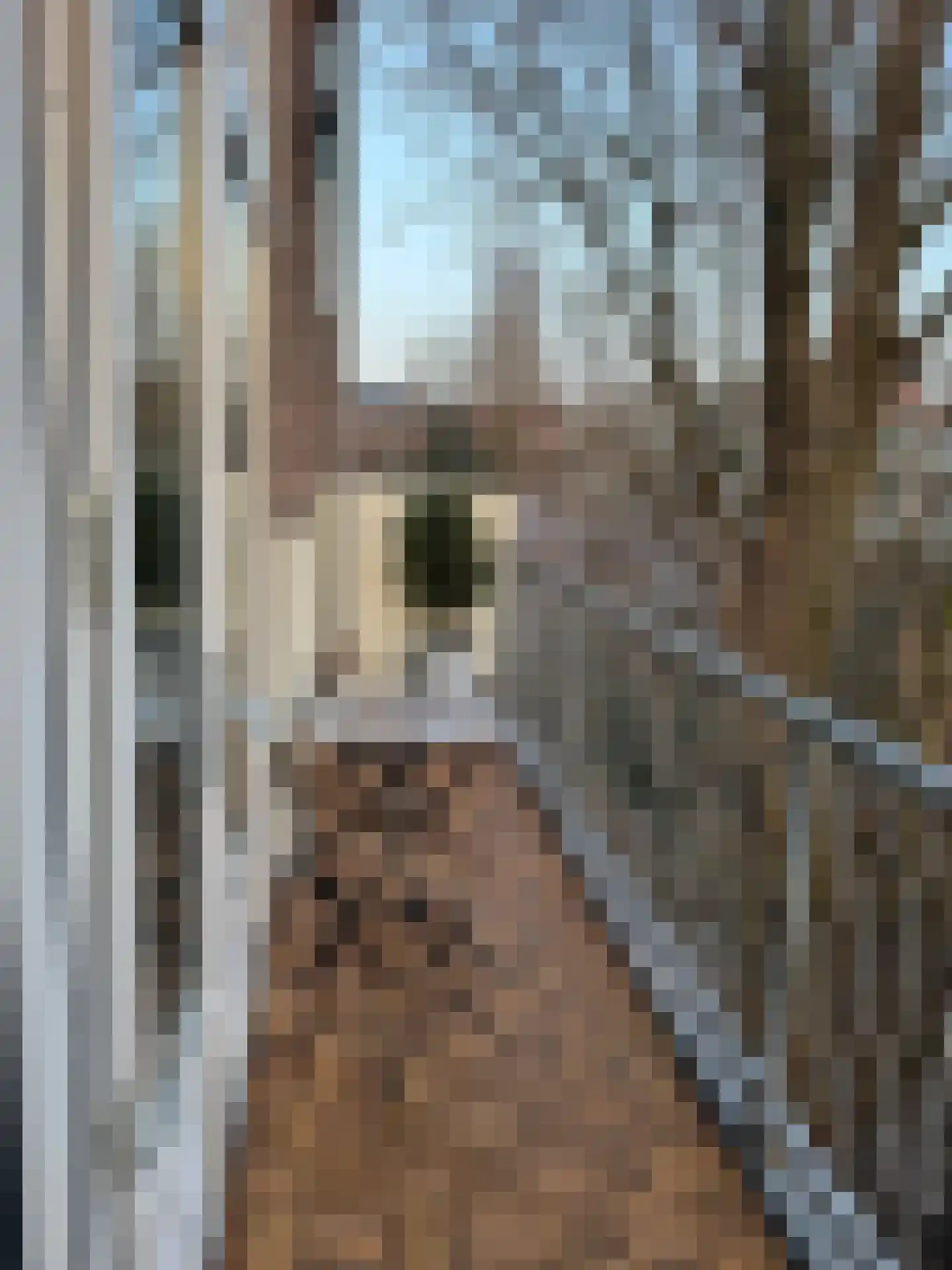 Beukelsweg 40 B Rotterdam thumbnail 15