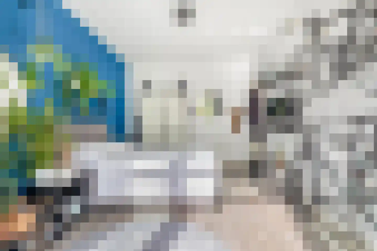 Beukelsweg 40 B Rotterdam thumbnail 17