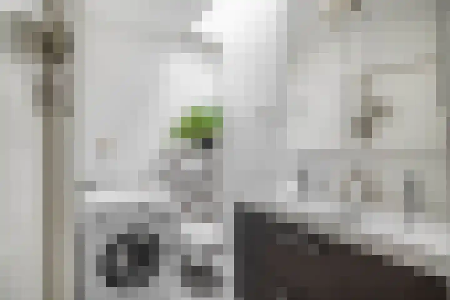 Beukelsweg 40 B Rotterdam thumbnail 22