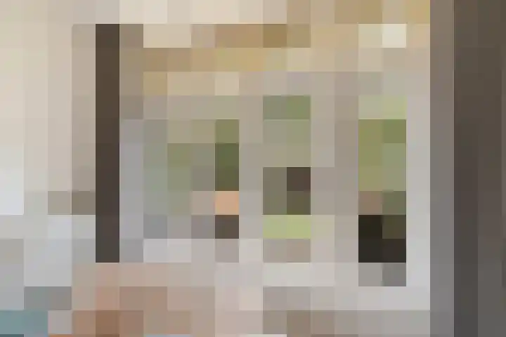 Beukelsweg 44 A 01 Rotterdam thumbnail 11