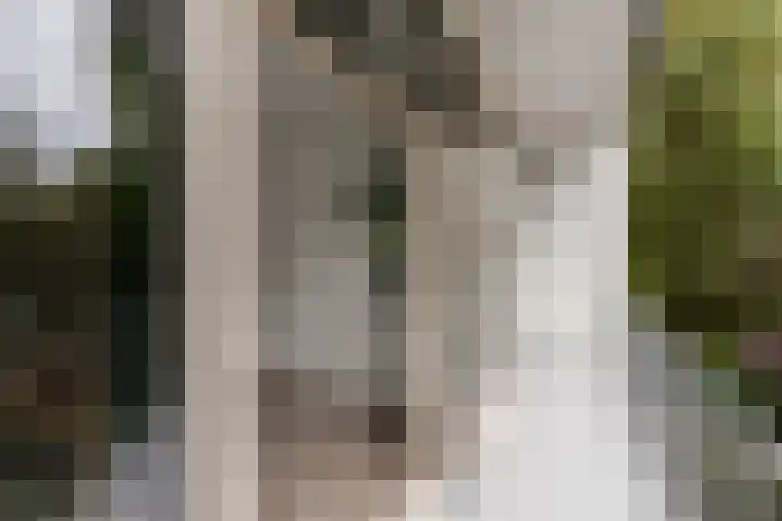 Beukelsweg 44 A 01 Rotterdam thumbnail 21