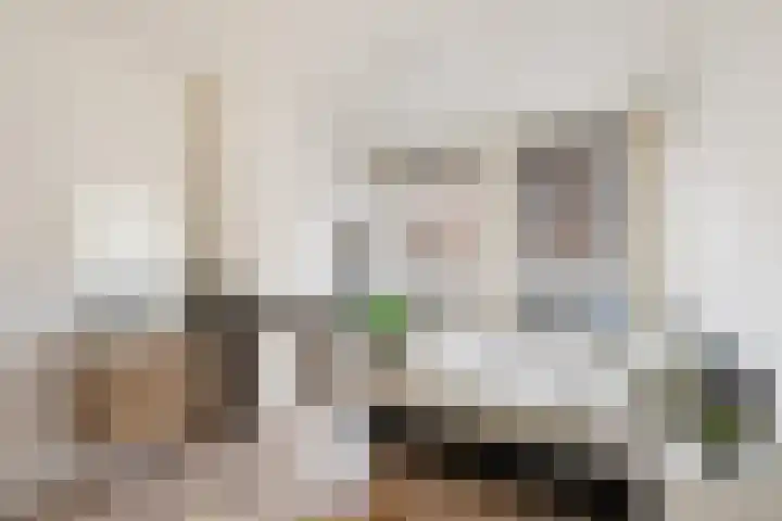 Beukelsweg 44 A 01 Rotterdam thumbnail 23