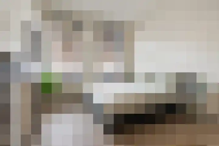 Beukelsweg 44 A 01 Rotterdam thumbnail 24