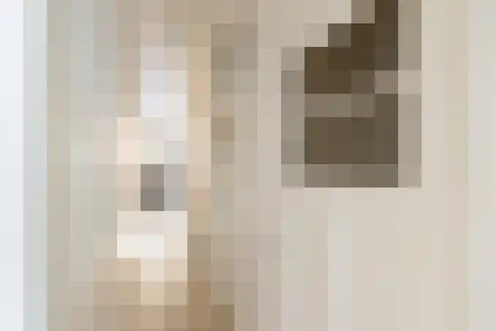 Beukelsweg 44 A 01 Rotterdam thumbnail 37