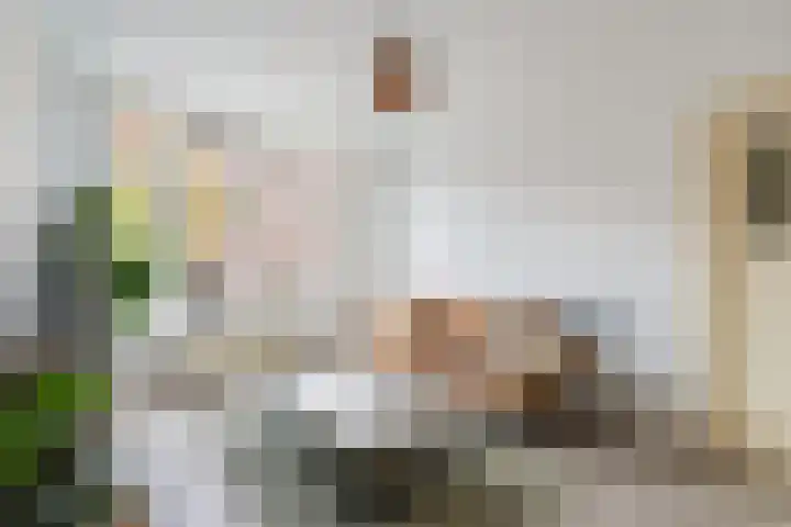 Beukelsweg 44 A 01 Rotterdam thumbnail 9