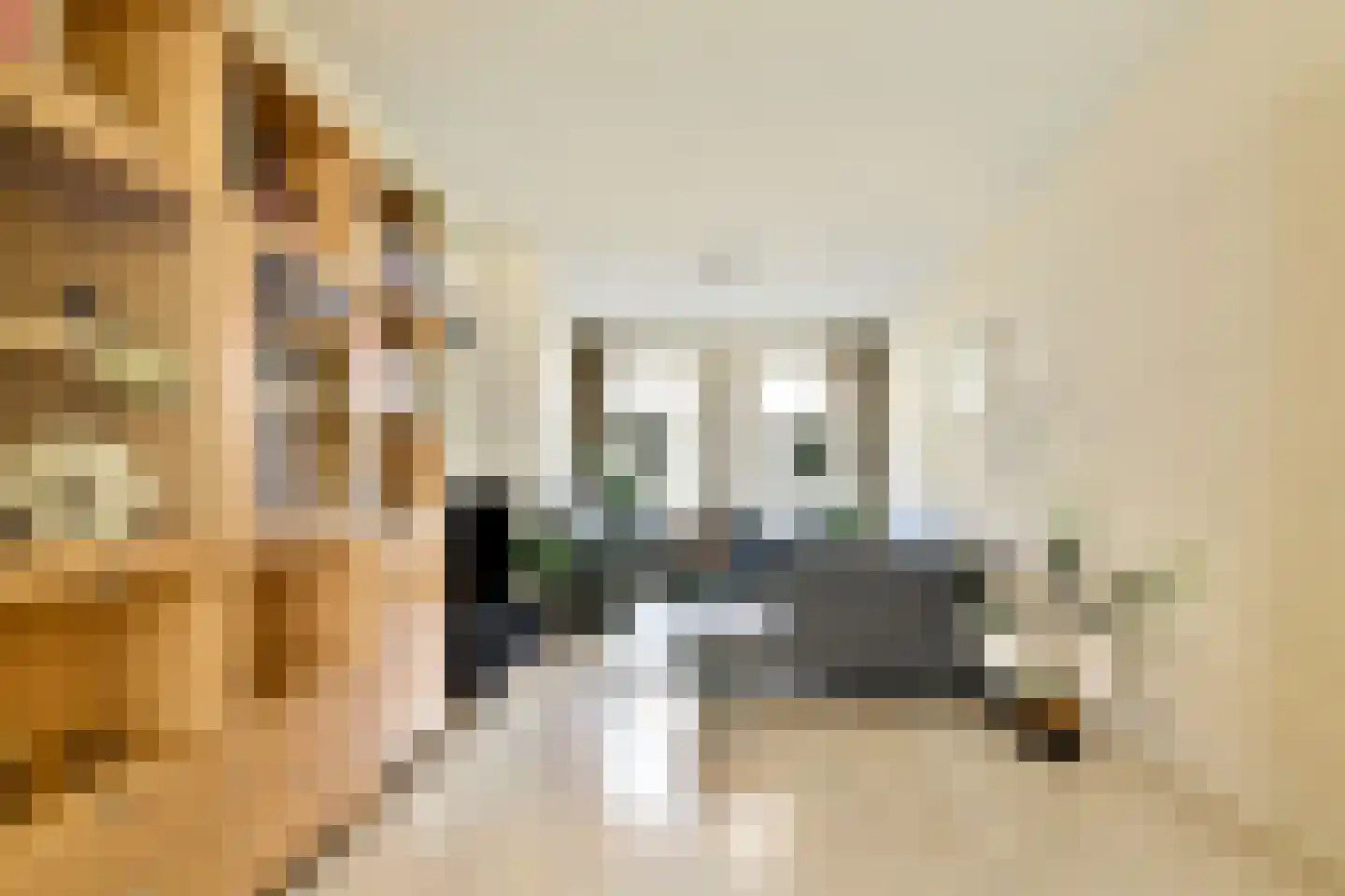 Beukelsweg 54 B Rotterdam thumbnail 11