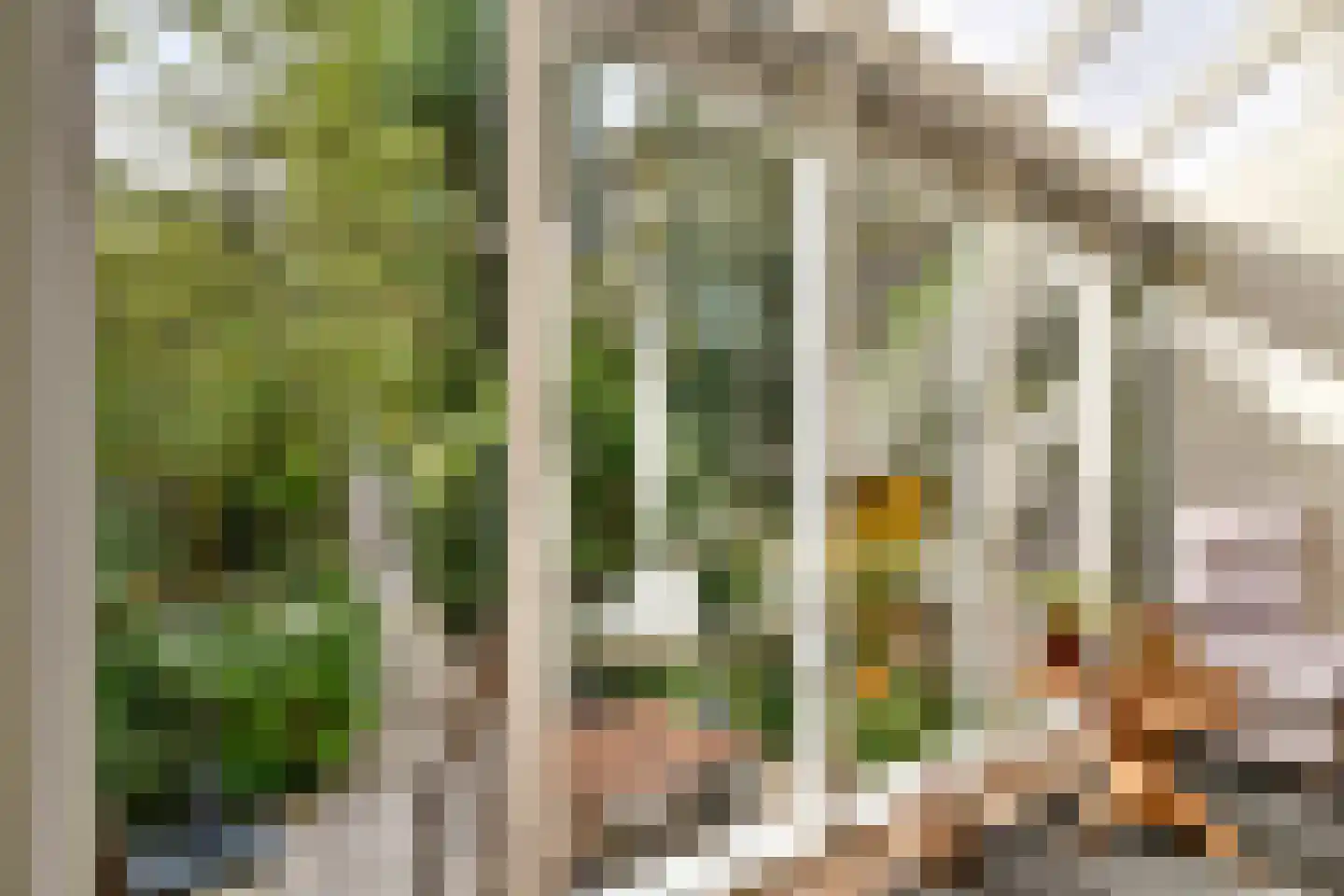 Beukelsweg 54 B Rotterdam thumbnail 16