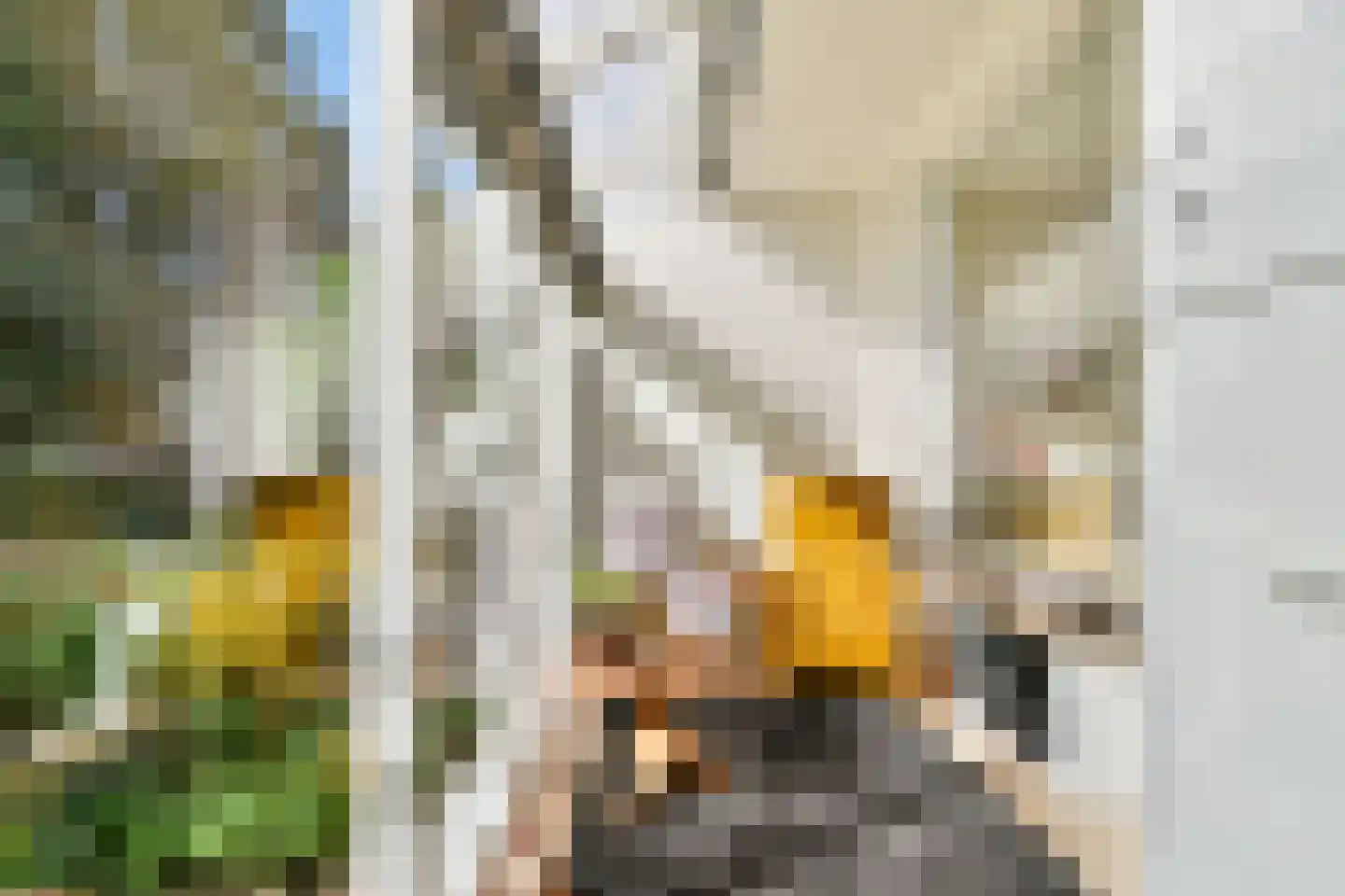 Beukelsweg 54 B Rotterdam thumbnail 17
