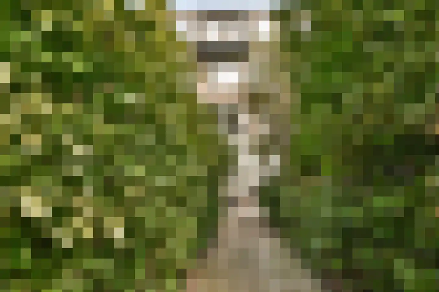 Beukelsweg 54 B Rotterdam thumbnail 21