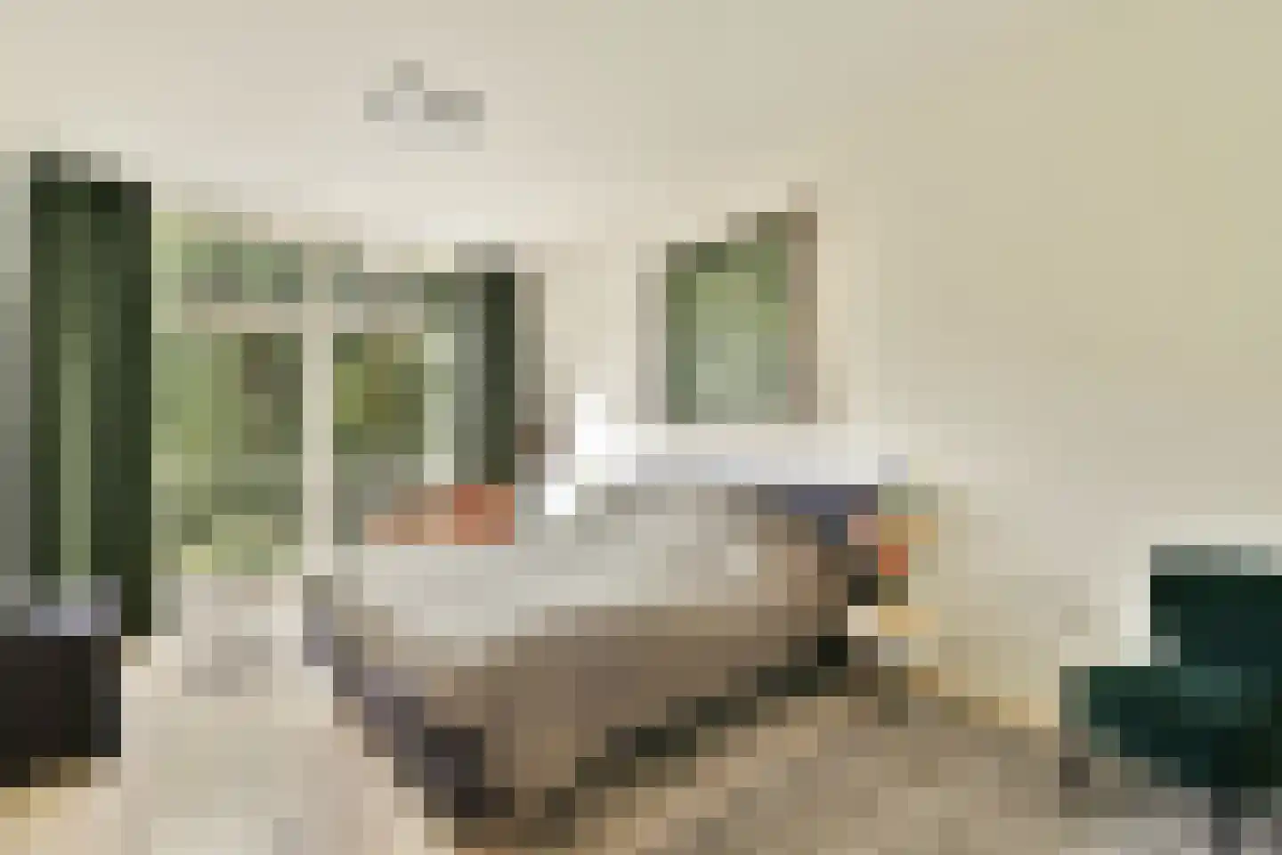 Beukelsweg 54 B Rotterdam thumbnail 24
