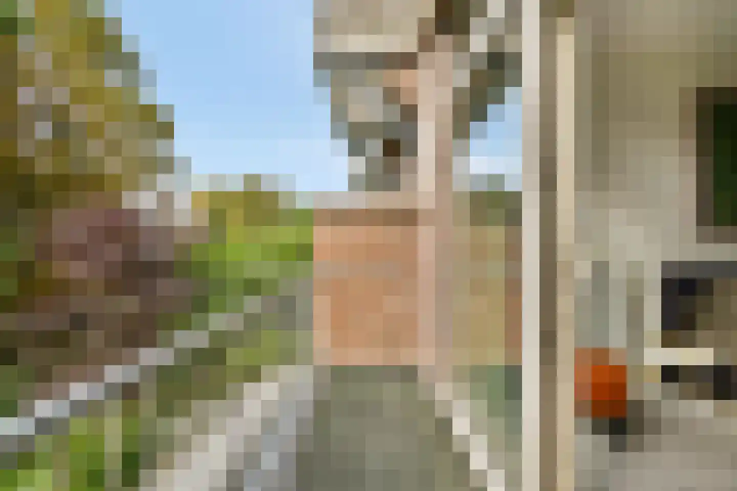 Beukelsweg 54 B Rotterdam thumbnail 27